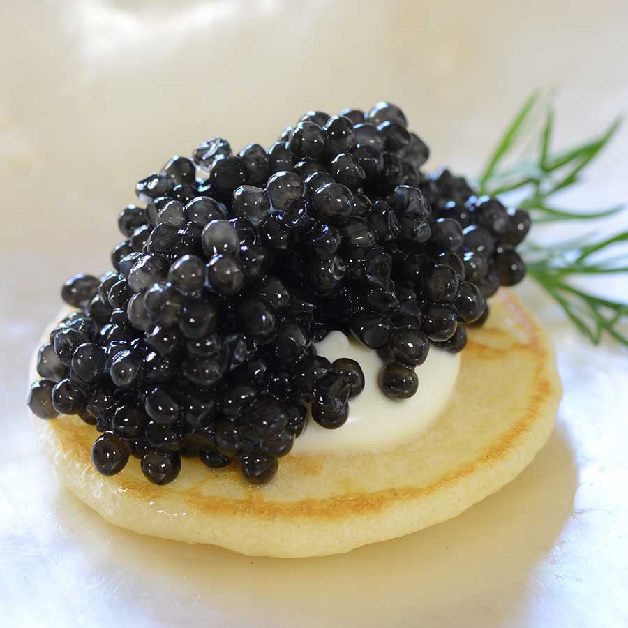 White Sturgeon Caviar: Luxurious Indulgence: White Sturgeon Caviar