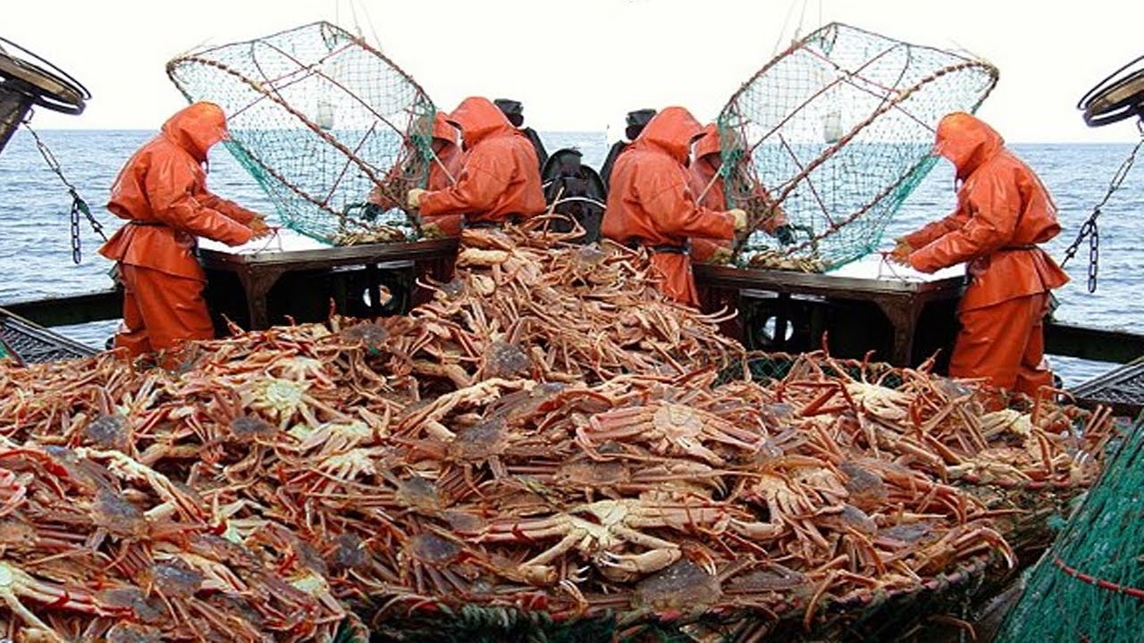 Whole King Crab: Indulging in the Majesty of King Crab