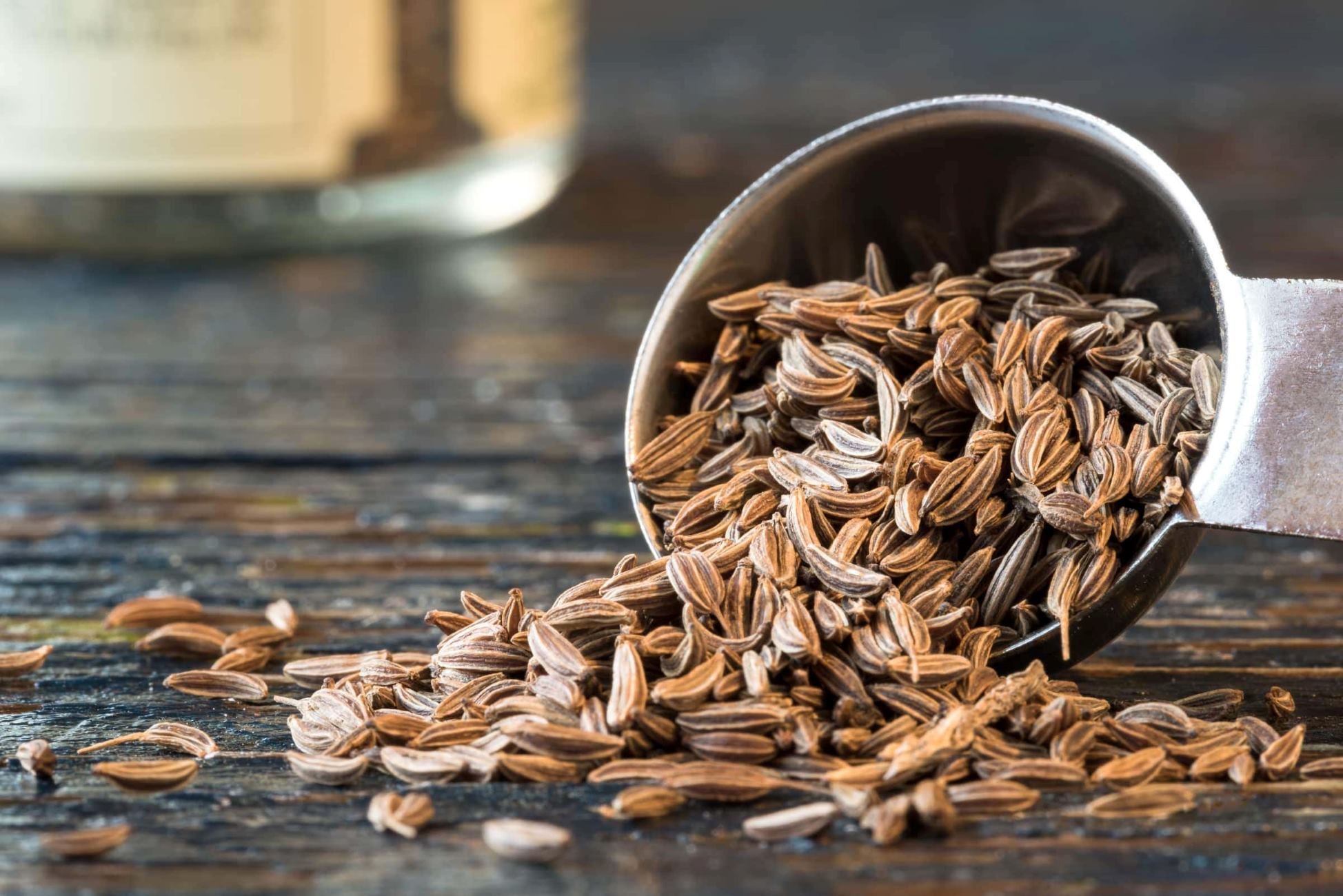 Fennel vs Caraway: Exploring the Aniseed Aromatics